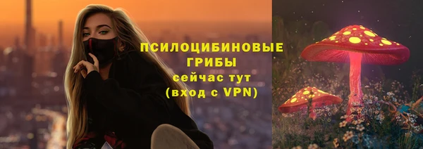 меф Ладушкин