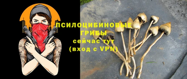ешки Братск